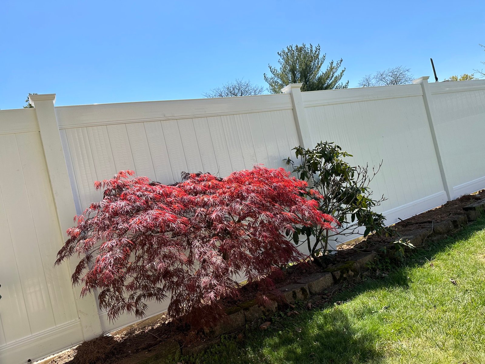 solidshield with tree privacy vinyl fence with landscape